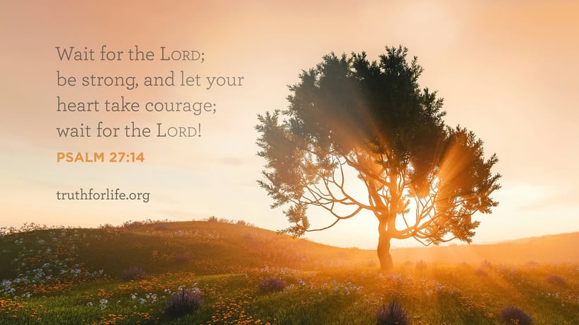 Wait for the LORD; be strong, and let your heart take courage; wait for the LORD! - Psalm 27:14 Wait for the LORD; be strong, and let your heart take courage; wait for the LORD! - Psalm 27:14
