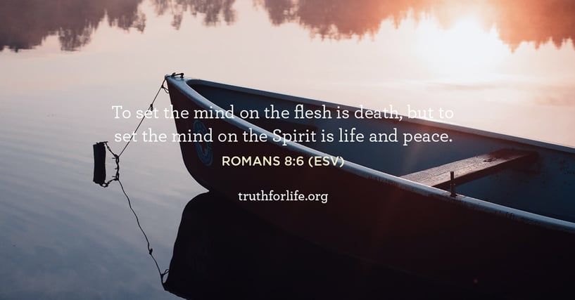 To set the mind on the flesh is death, but to set the mind on the Spirit is life and peace. - Romans 8:6 To set the mind on the flesh is death, but to set the mind on the Spirit is life and peace. - Romans 8:6