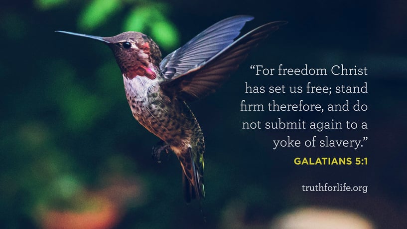 For freedom Christ has set us free; stand firm therefore, and do not submit again to a yoke of slavery. - Galatians 5:1