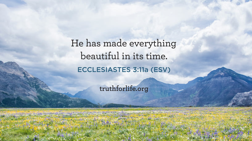 He has made everything beautiful in its time. - Ecclesiastes 3:11a, ESV.