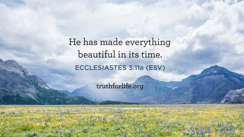 He has made everything beautiful in its time. - Ecclesiastes 3:11a, ESV. He has made everything beautiful in its time. - Ecclesiastes 3:11a, ESV.