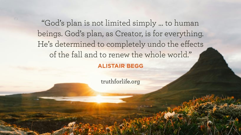 God’s plan is not limited simply … to human beings. God’s plan, as Creator, is for everything. He’s determined to completely undo the effects of the fall and to renew the whole world. - Alistair Begg
