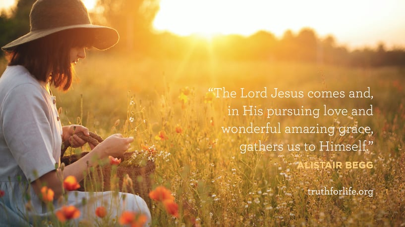The Lord Jesus comes and, in His pursuing love and wonderful amazing grace, gathers us to Himself. - Alistair Begg The Lord Jesus comes and, in His pursuing love and wonderful amazing grace, gathers us to Himself. - Alistair Begg