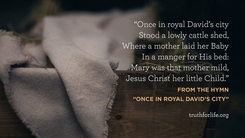 Once in royal David’s city  Stood a lowly cattle shed,  Where a mother laid her Baby  In a manger for His bed:  Mary was that mother mild,  Jesus Christ her little Child. - From the Hymn “Once in Royal David’s City” 