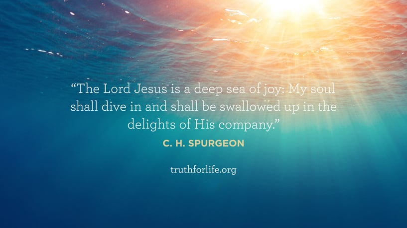 The Lord Jesus is a deep sea of joy: My soul shall dive in and shall be swallowed up in the delights of His company. - C.H. Spurgeon The Lord Jesus is a deep sea of joy: My soul shall dive in and shall be swallowed up in the delights of His company. - C.H. Spurgeon
