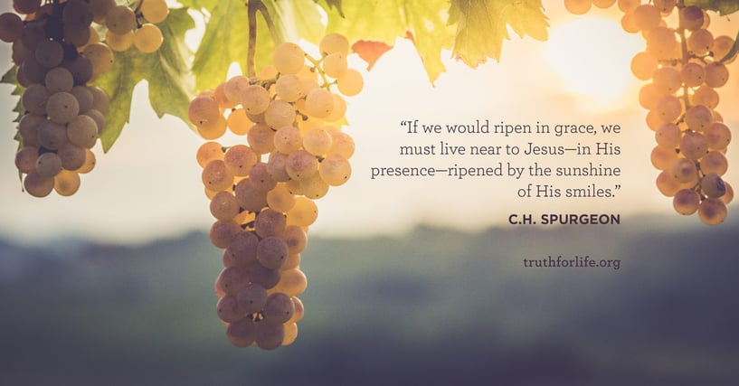 If we would ripen in grace, we must live near to Jesus—in His presence—ripened by the sunshine of His smiles. - C.H. Spurgeon