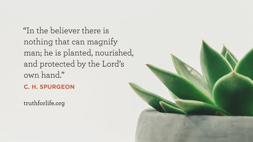 In the believer there is nothing that can magnify man; he is planted, nourished, and protected by the Lord’s own hand. - C.H. Spurgeon