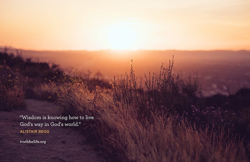 Wisdom is knowing how to live God's way in God's world. - Alistair Begg