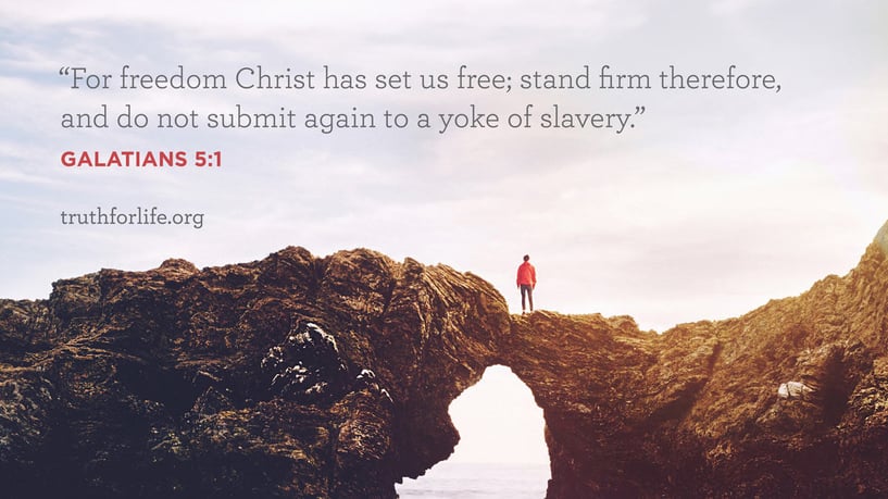 For freedom Christ has set us free; stand firm therefore, and do not submit again to a yoke of slavery. - Galatians 5:1 For freedom Christ has set us free; stand firm therefore, and do not submit again to a yoke of slavery. - Galatians 5:1