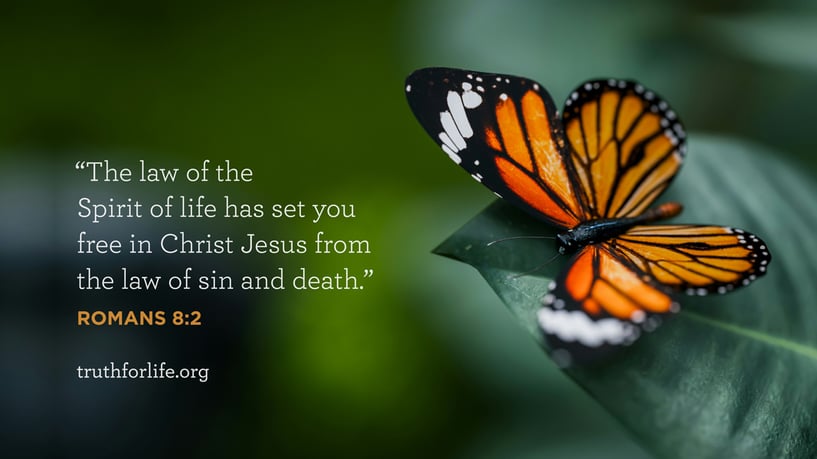 The law of the Spirit of life has set you free in Christ Jesus from the law of sin and death. - Romans 8:2 The law of the Spirit of life has set you free in Christ Jesus from the law of sin and death. - Romans 8:2