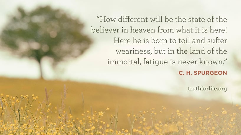 How different will be the state of the believer in heaven from what it is here! Here he is born to toil and suffer weariness, but in the land of the immortal, fatigue is never known. - C. H. Spurgeon