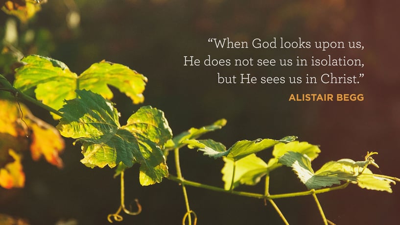 When God looks upon us, He does not see us in isolation, but He sees us in Christ. - ALISTAIR BEGG