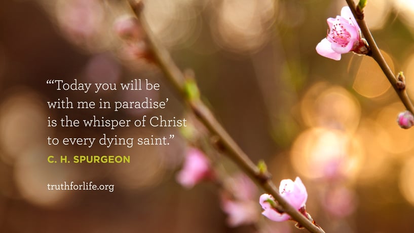 ‘Today you will be with me in paradise’ is the whisper of Christ to every dying saint. - C.H. Spurgeon