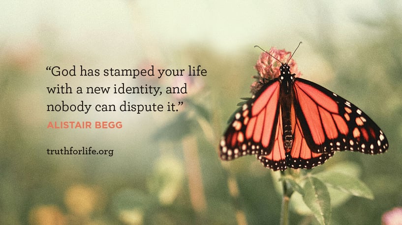 God has stamped your life with a new identity, and nobody can dispute it. - Alistair Begg