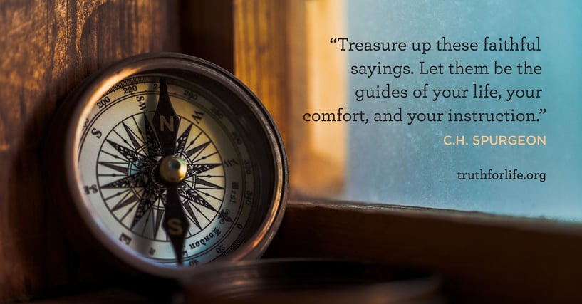 Treasure up these faithful sayings. Let them be the guides of your life, your comfort, and your instruction. - C.H. Spurgeon
