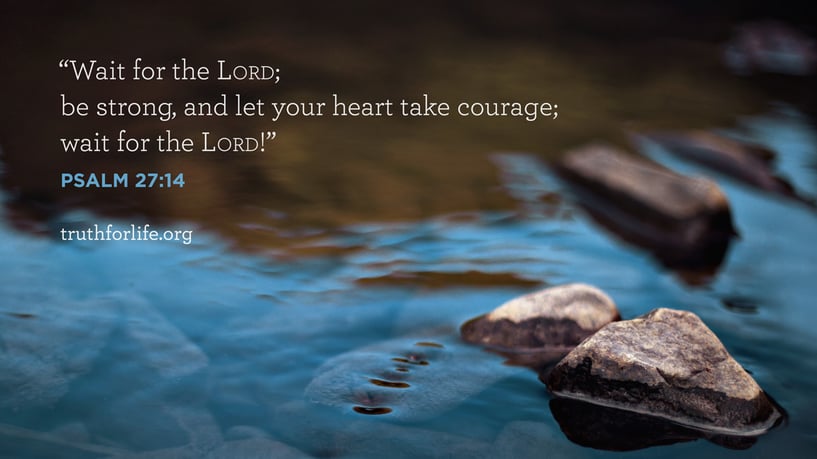 Wait for the LORD; be strong, and let your heart take courage; wait for the LORD! - PSALM 27:14