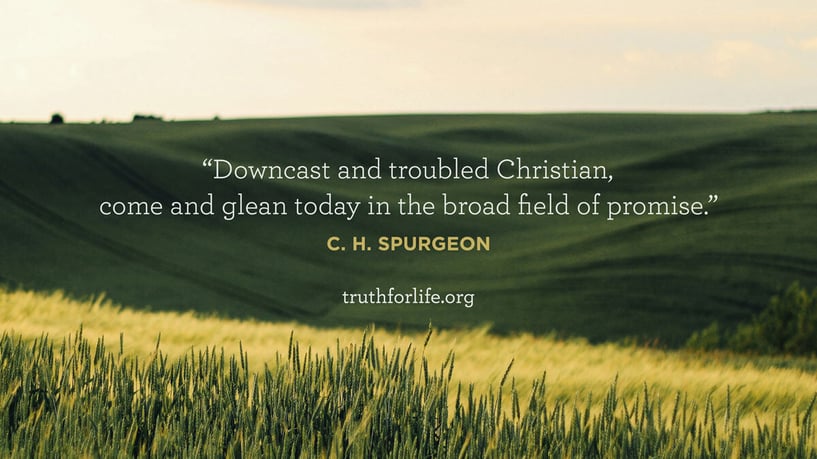 Downcast and troubled Christian, come and glean today in the broad field of promise. - C. H. Spurgeon