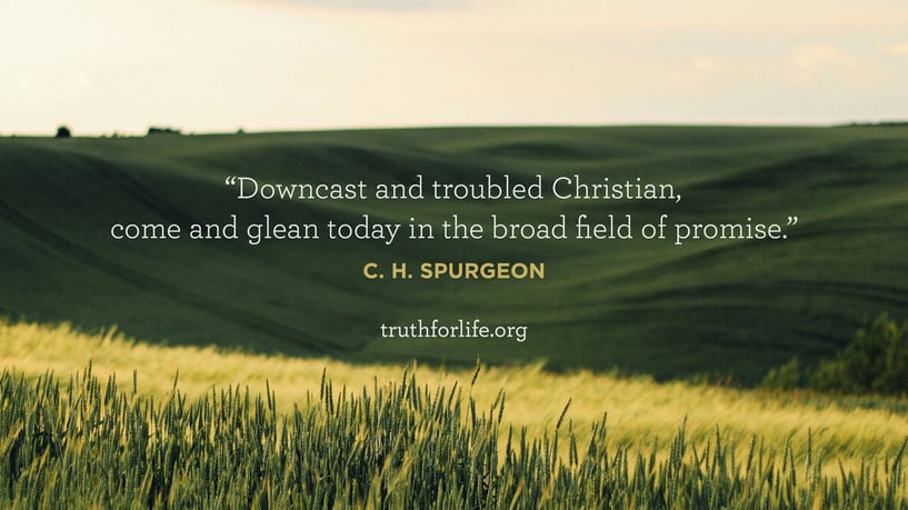 Downcast and troubled Christian, come and glean today in the broad field of promise. - C. H. Spurgeon Downcast and troubled Christian, come and glean today in the broad field of promise. - C. H. Spurgeon