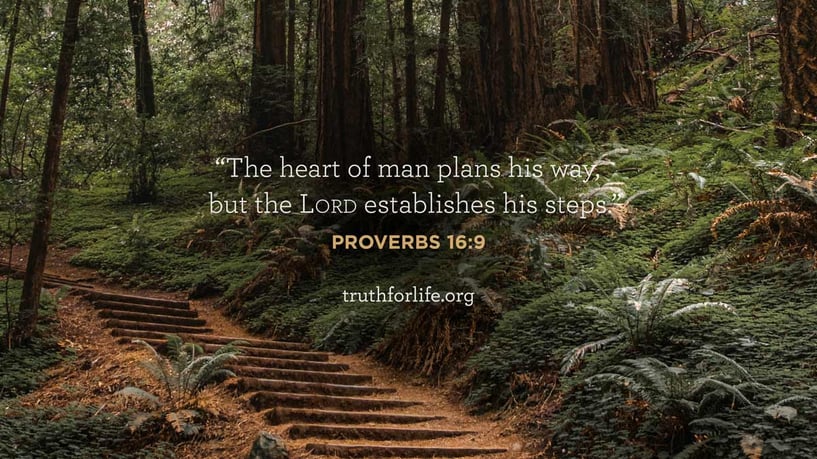 The heart of man plans his way, but the Lord establishes his steps. - Proverbs 16:9