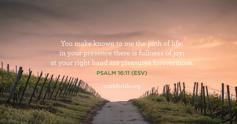 You make known to me the path of life;in your presence there is fullness of joy; at your right hand are pleasures forevermore. - Psalm 16:11 (ESV)