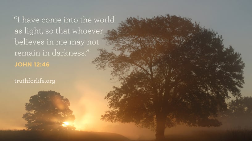 I have come into the world as light, so that whoever believes in me may not remain in darkness. - John 12:46