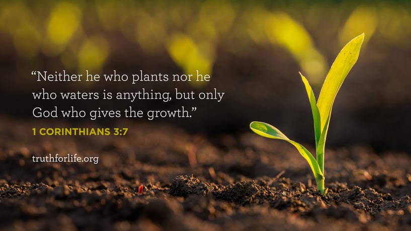 Neither he who plants nor he who waters is anything, but only God who gives the growth. - 1 Corinthians 3:7