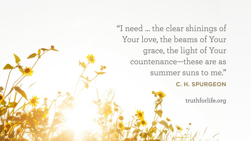 I need … the clear shinings of Your love, the beams of Your grace, the light of Your countenance—these are as summer suns to me. - C. H. Spurgeon