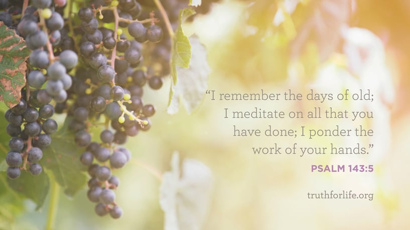 I remember the days of old; I meditate on all that you have done; I ponder the work of your hands. - Psalm 143:5