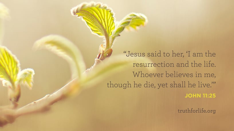 Jesus said to her, ‘I am the resurrection and the life. Whoever believes in me, though he die, yet shall he live.’ - John 11:25 Jesus said to her, ‘I am the resurrection and the life. Whoever believes in me, though he die, yet shall he live.’ - John 11:25