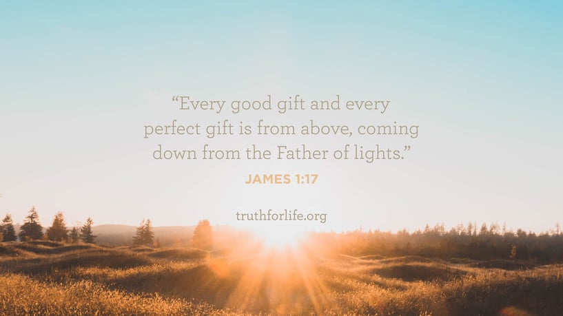 Every good gift and every perfect gift is from above, coming down from the Father of lights. James 1:17