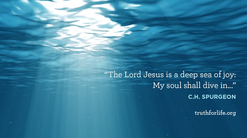 The Lord Jesus is a deep sea of joy: My soul shall dive in... - C.H. Spurgeon The Lord Jesus is a deep sea of joy: My soul shall dive in... - C.H. Spurgeon