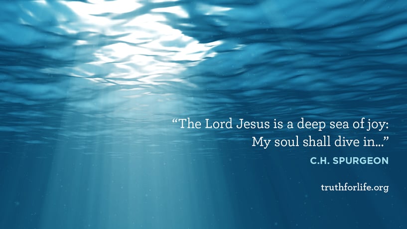 The Lord Jesus is a deep sea of joy: My soul shall dive in... - C.H. Spurgeon