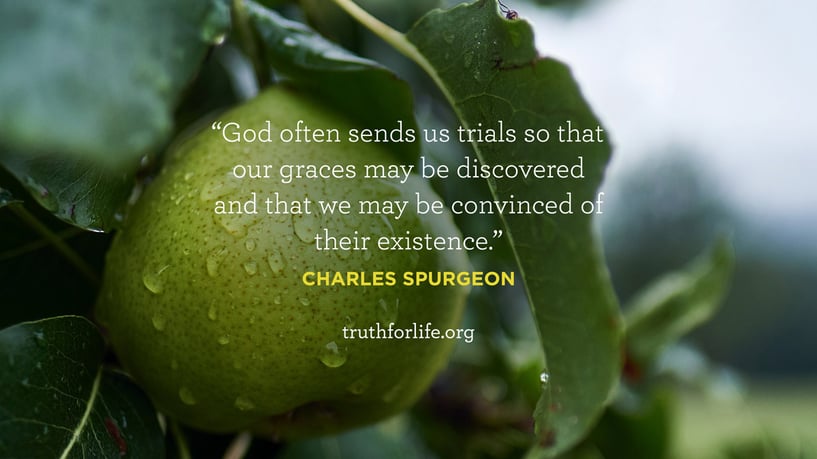 God often sends us trials so that our graces may be discovered and that we may be convinced of their existence. - Charles Spurgeon God often sends us trials so that our graces may be discovered and that we may be convinced of their existence. - Charles Spurgeon