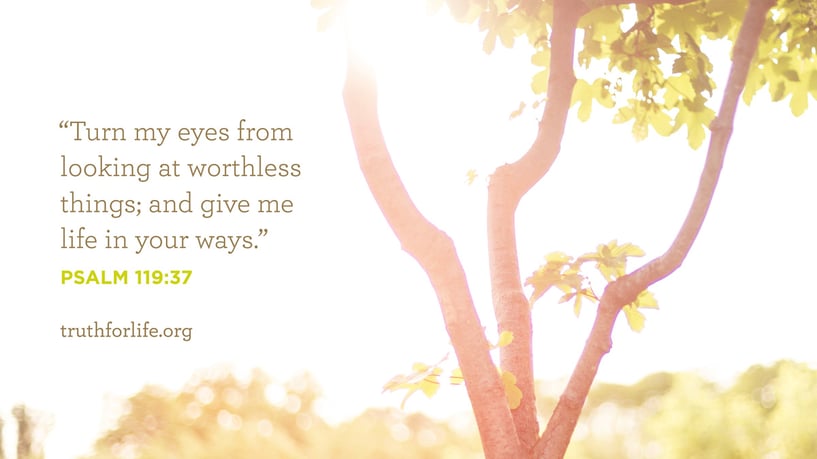 Turn my eyes from looking at worthless things; and give me life in your ways. - Psalm 119:37