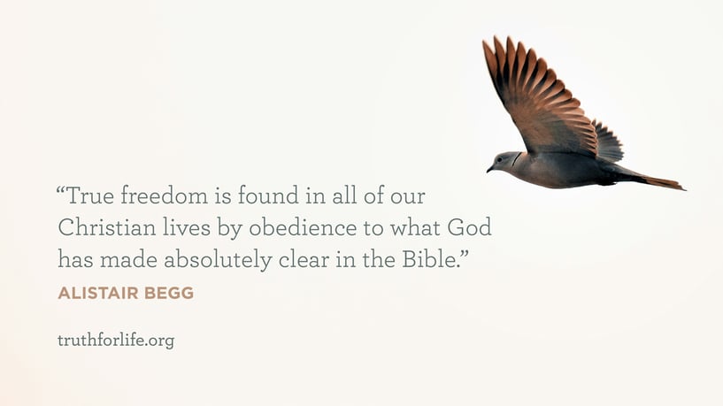Wallpaper: True Freedom