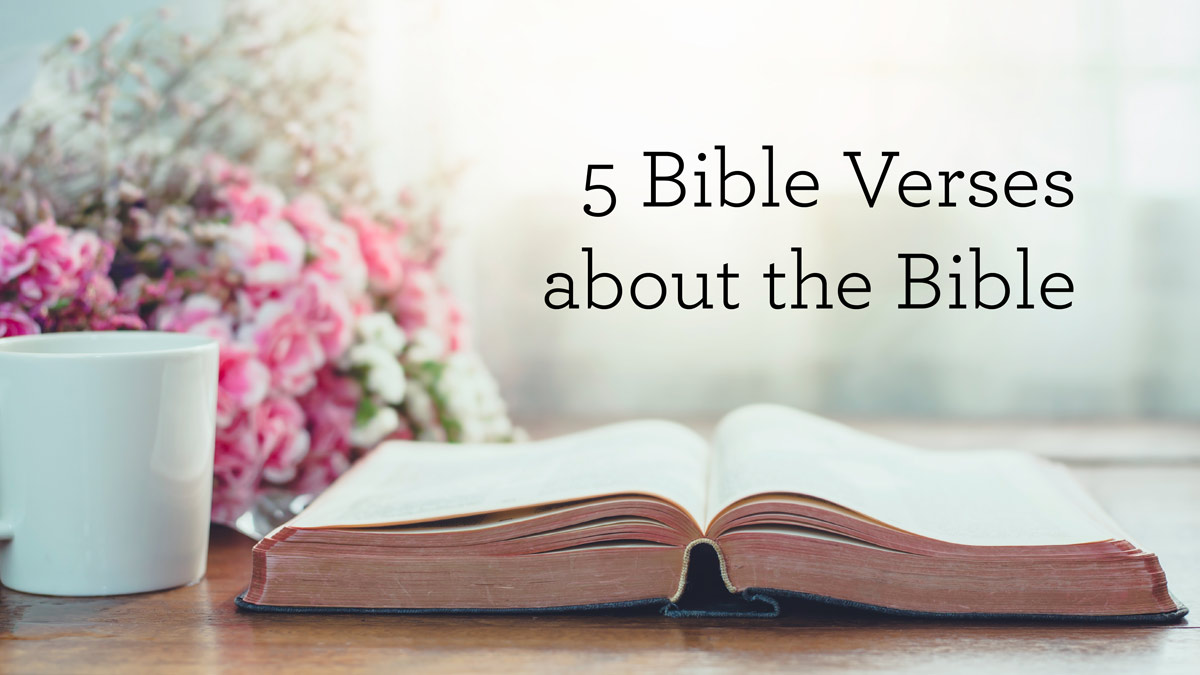 thumbnail image for 5 Bible Verses about the Bible