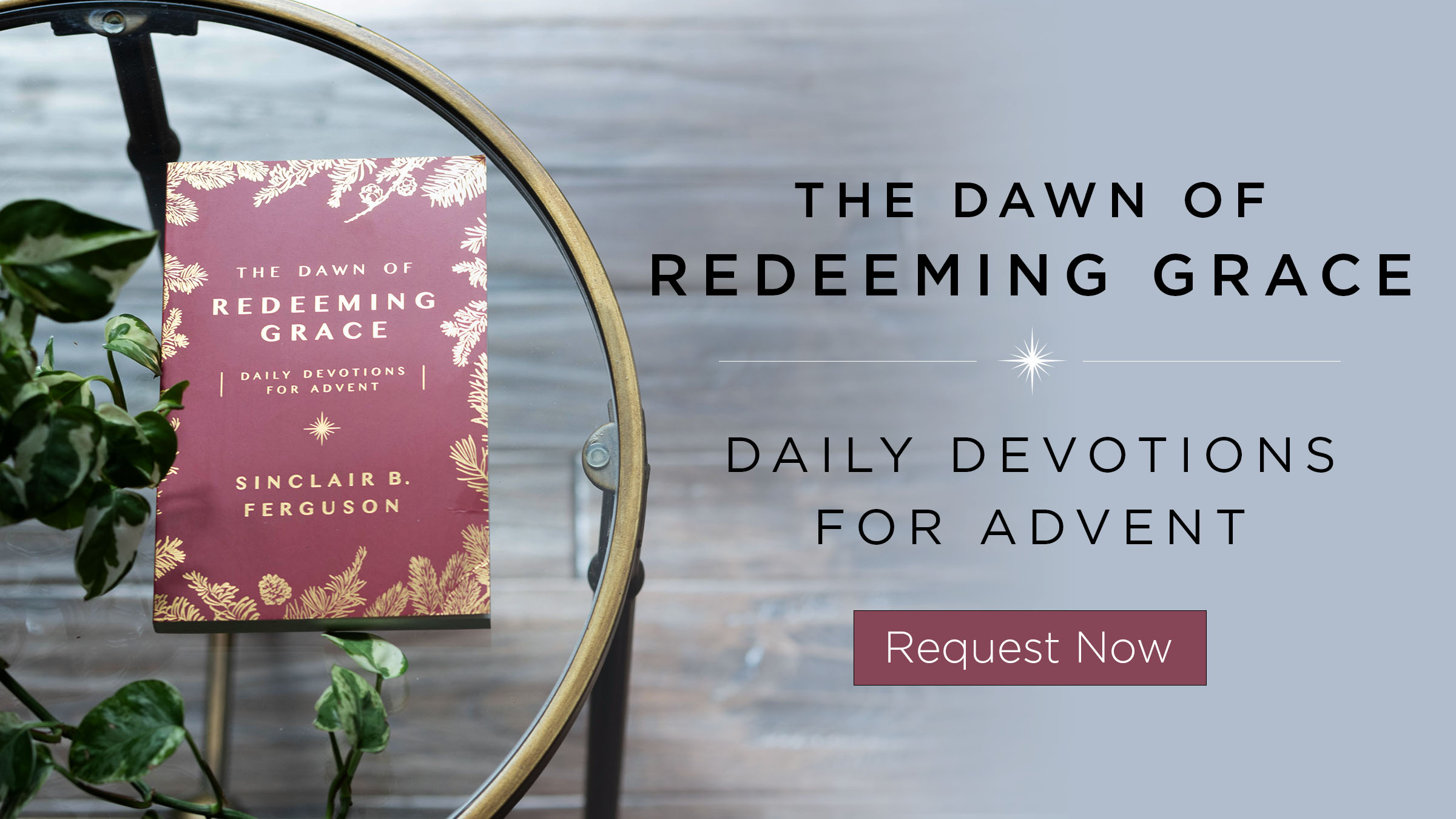 thumbnail image for The Dawn of Redeeming Grace Advent Devotional