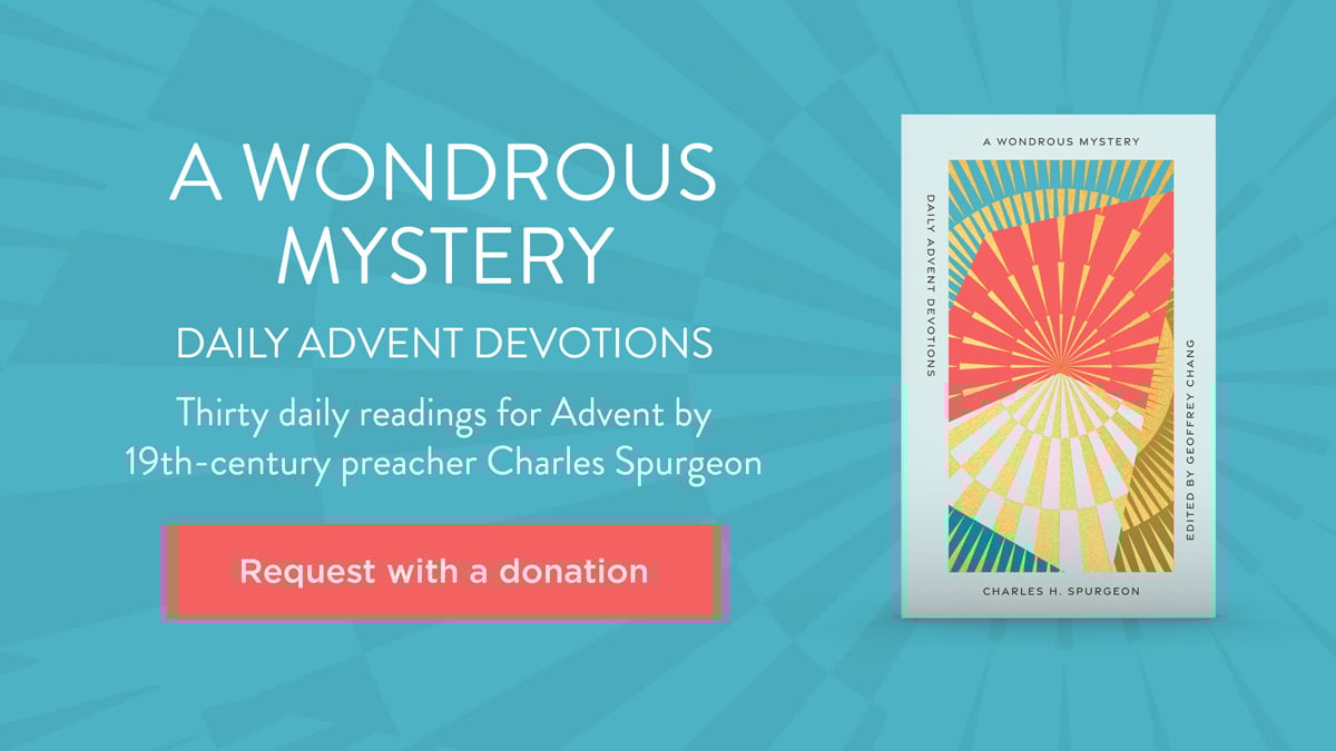 A Wondrous Mystery: Daily Advent Devotions