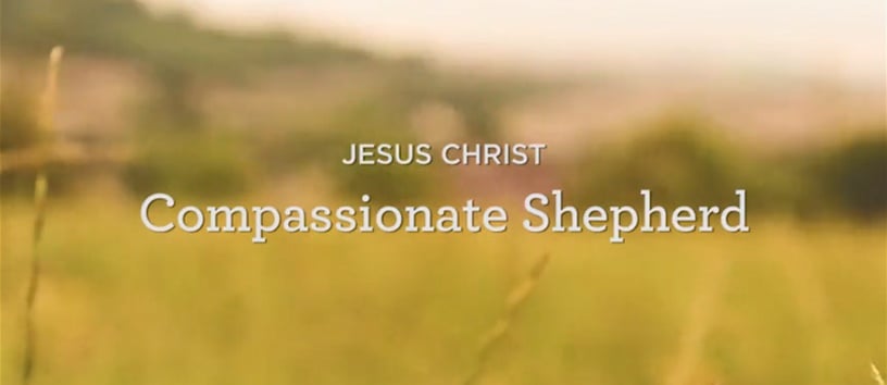 thumbnail image for Jesus Christ: Compassionate Shepherd (2 of 7)