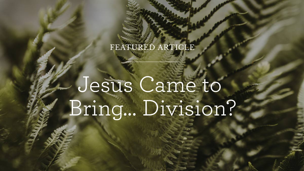 thumbnail image for Jesus Came to Bring… Division?