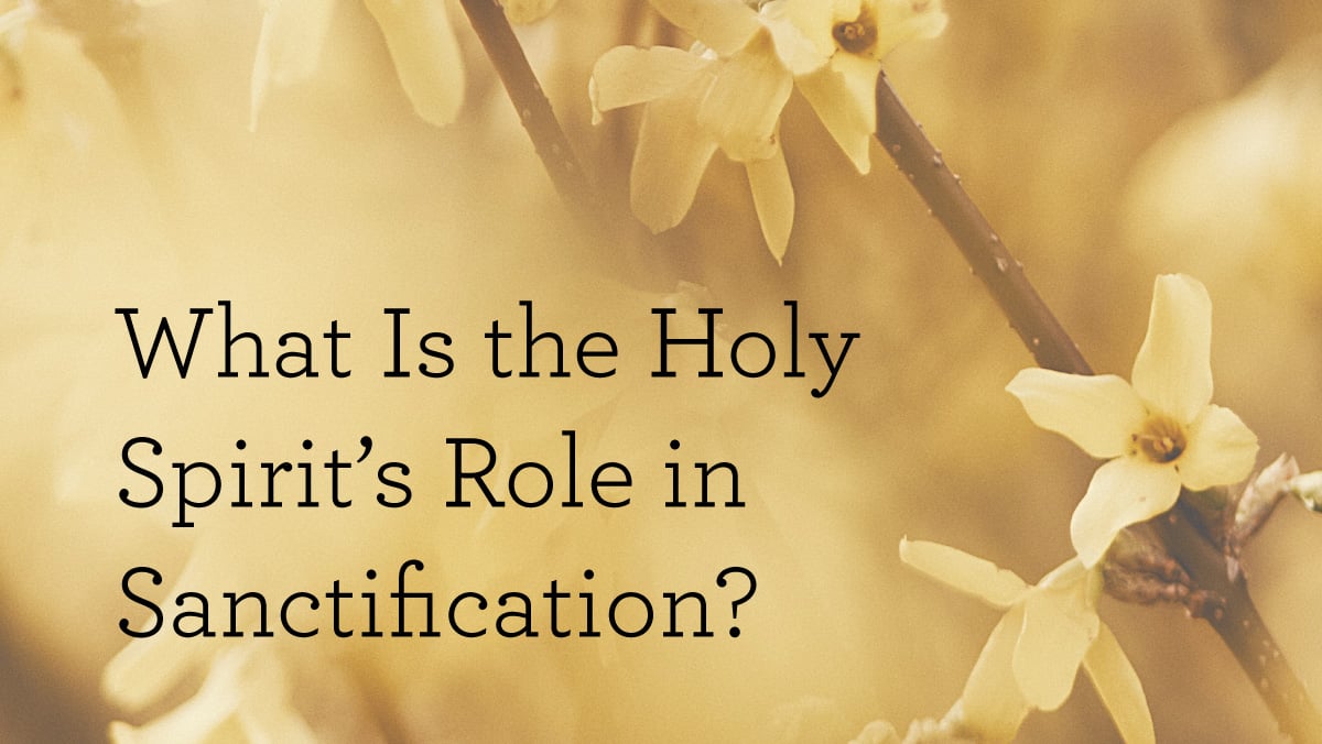 thumbnail image for What Is the Holy Spirit’s Role in Sanctification?