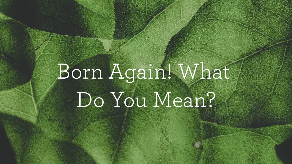 thumbnail image for “Born Again! What Do You Mean?”