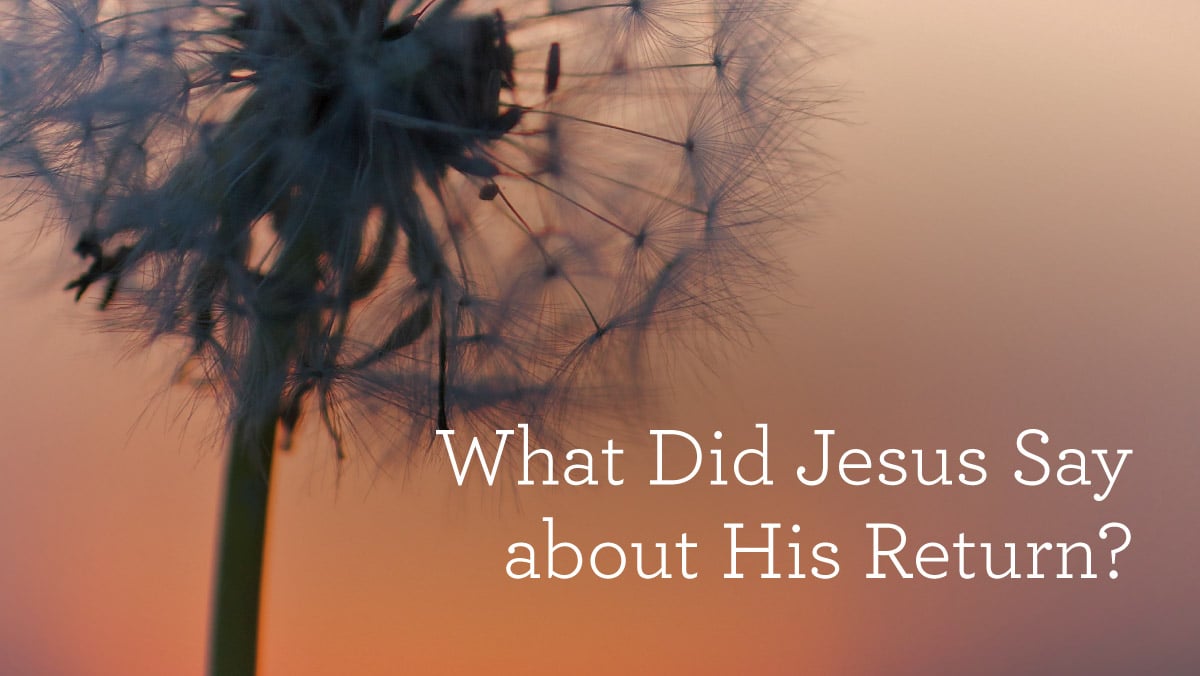 thumbnail image for What Did Jesus Say about His Return?