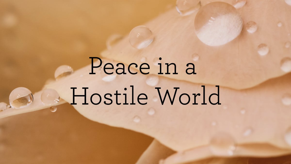 thumbnail image for Peace in a Hostile World