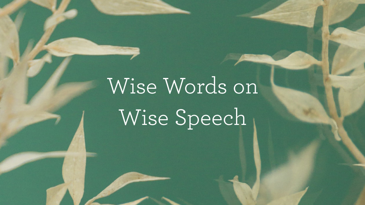 thumbnail image for Wise Words on Wise Speech