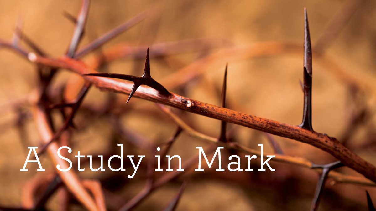 thumbnail image for Download the Complete 9-Volume Set of “A Study in Mark”