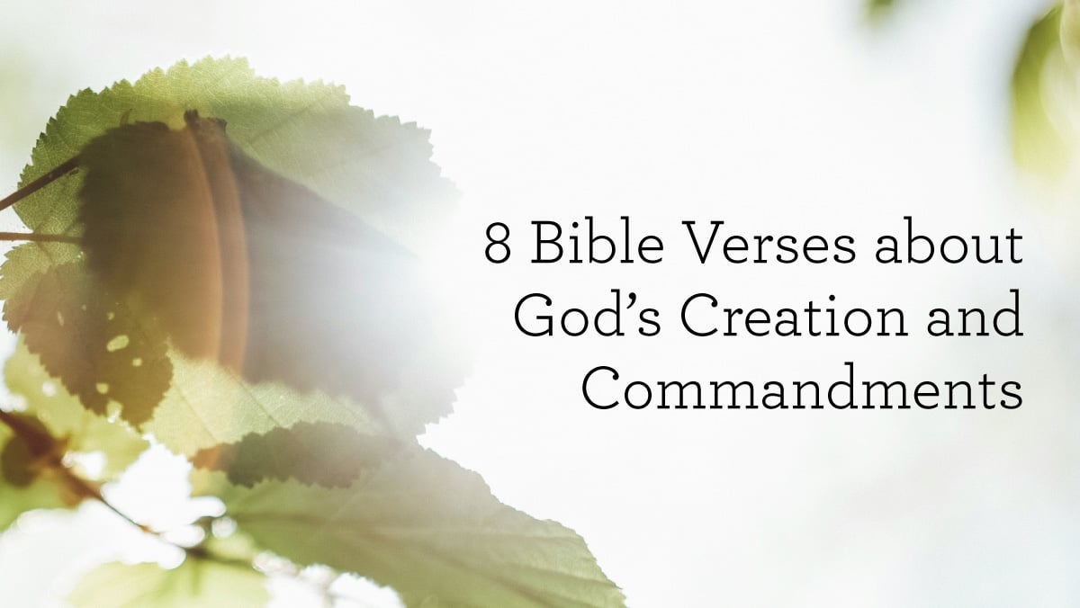 thumbnail image for 8 Bible Verses about God’s Creation and Commandments