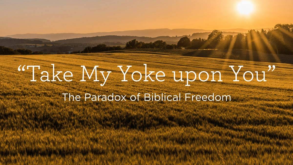 thumbnail image for “Take My Yoke upon You”: The Paradox of Biblical Freedom