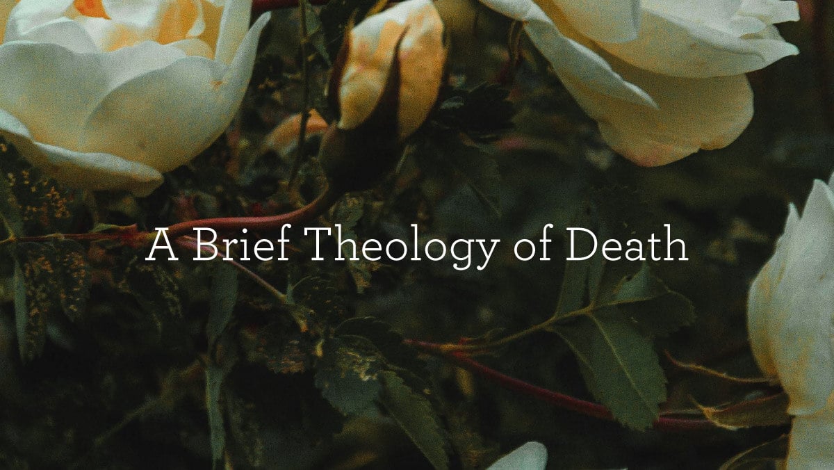 thumbnail image for A Brief Theology of Death