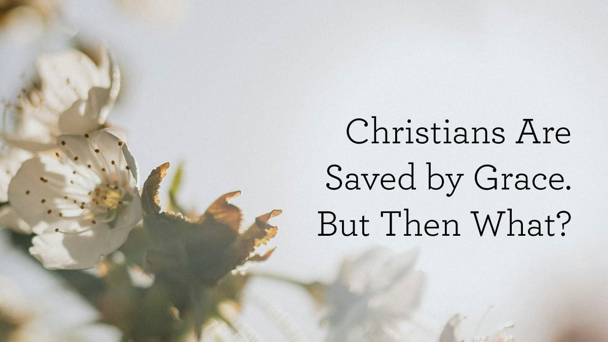thumbnail image for Christians Are Saved by Grace. But Then What?